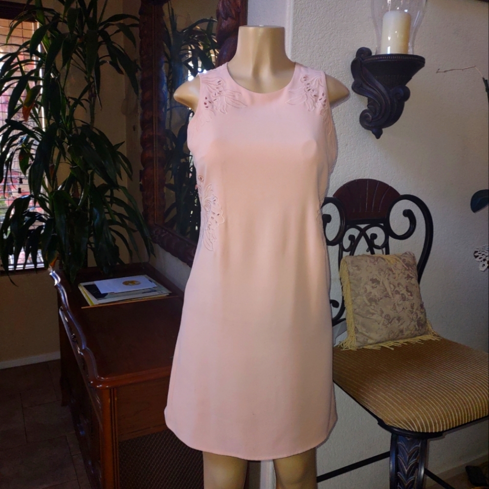 Ann Taylor mini dress.